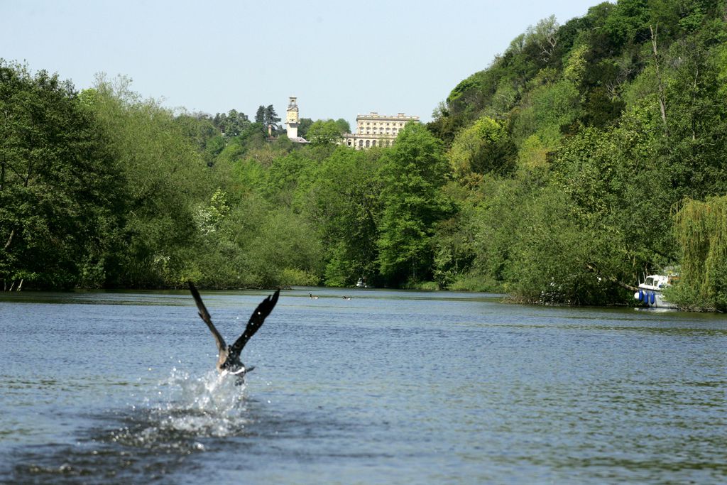 Cliveden House 17 - Gallery