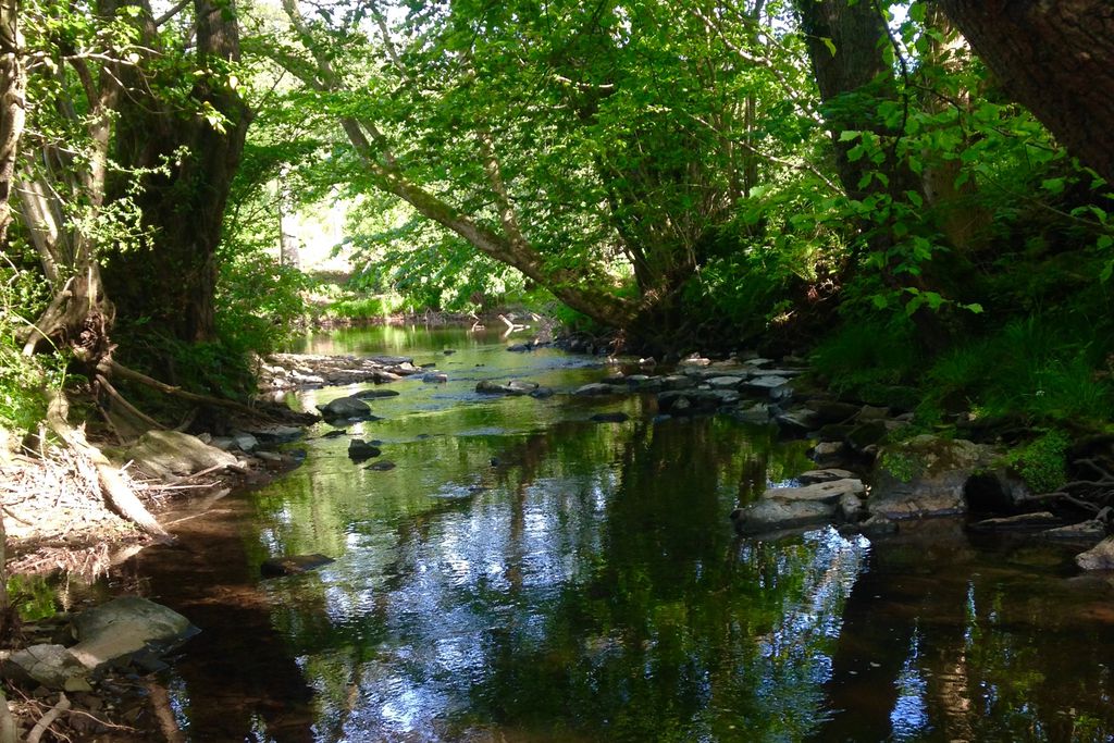 Monnow River Cottage 13 - Gallery