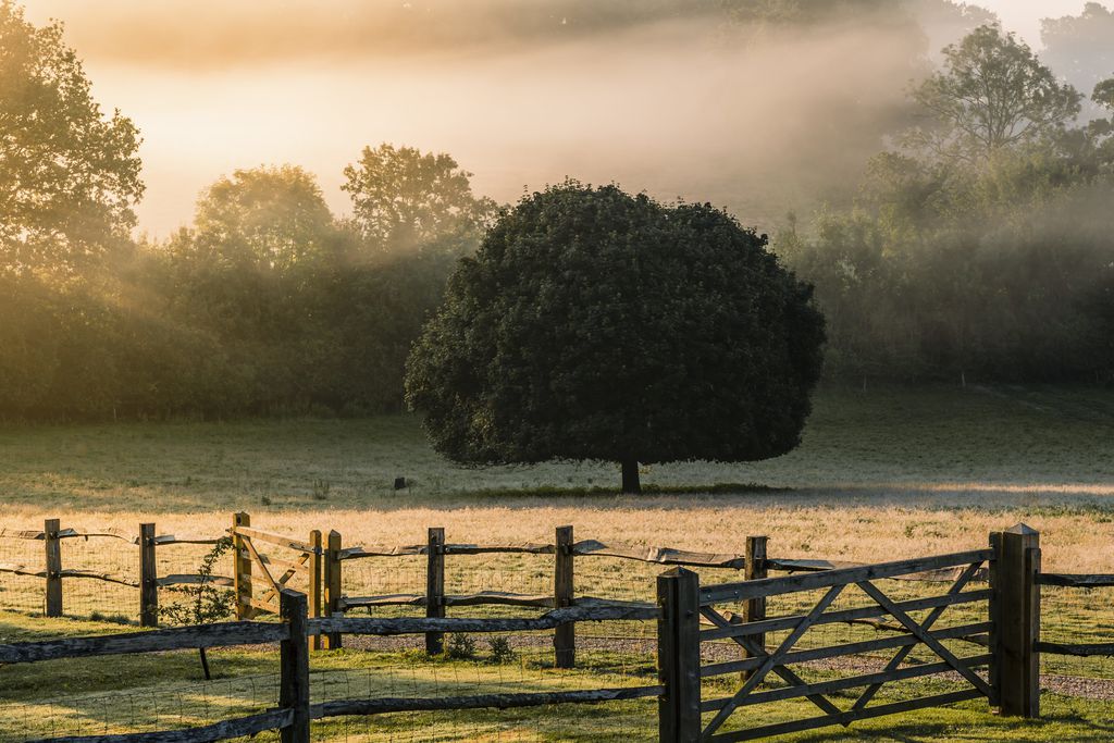 Castlemans Stables 14 - Gallery