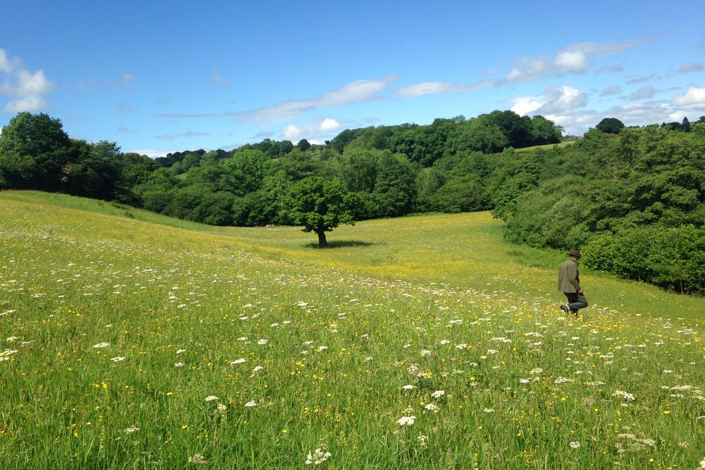 Monnow River Cottage 18 - Gallery