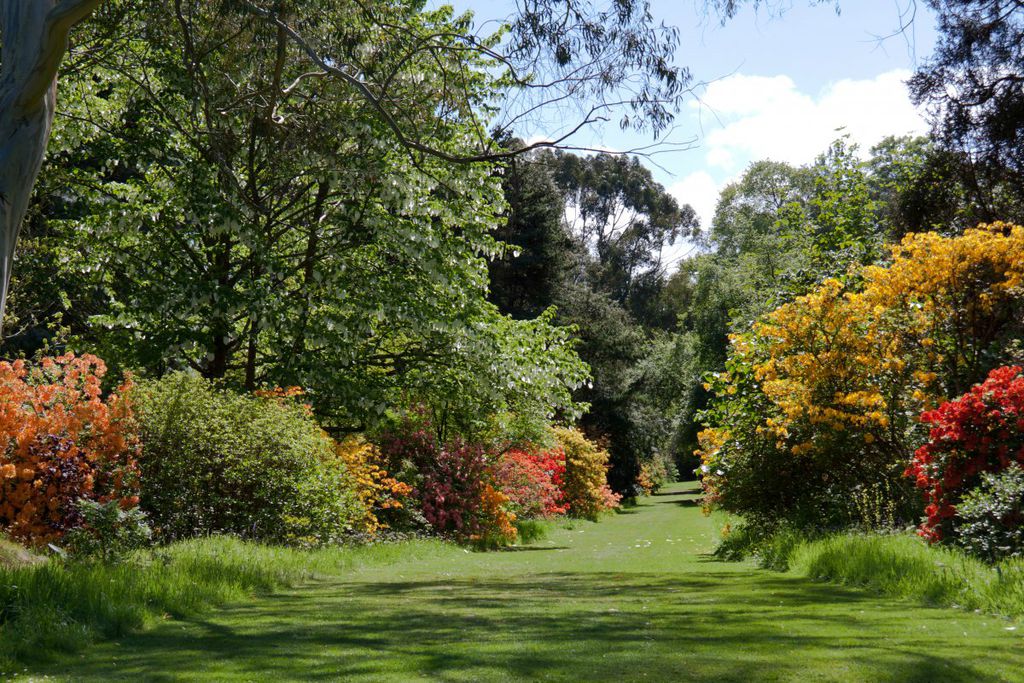 Mount Usher Gardens 2 - Gallery