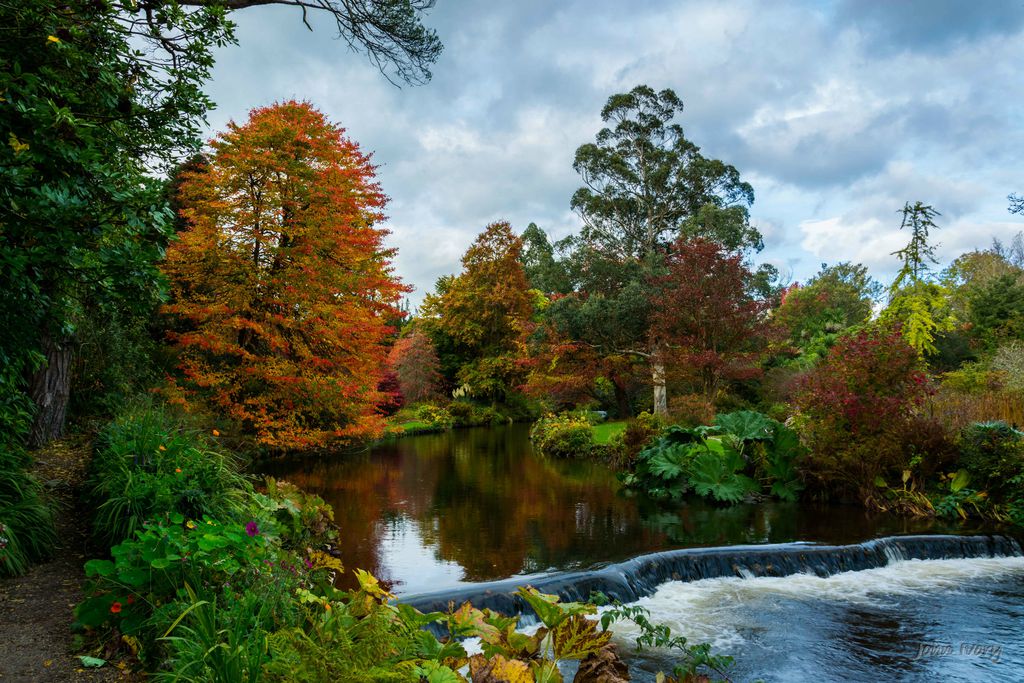 Mount Usher Gardens 12 - Gallery