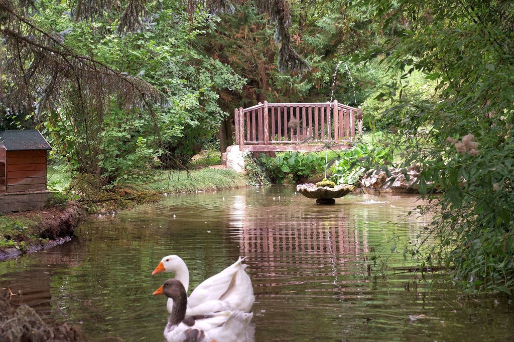 Manoir de la Salle du Roc B&B 20 - Gallery