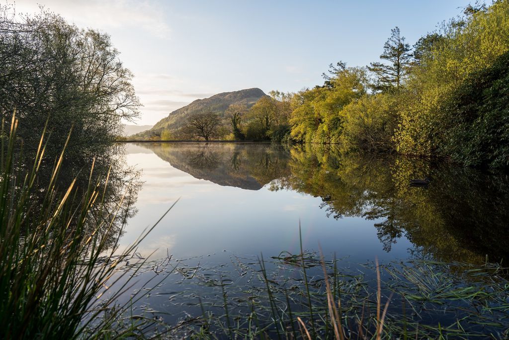 Pont Faen 20 - Gallery