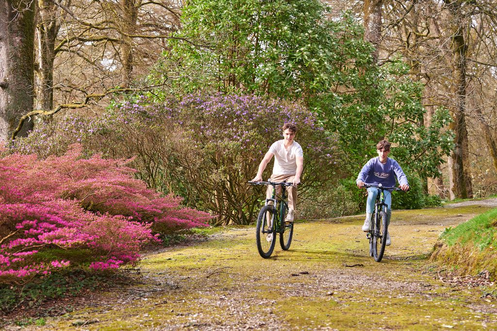 Head Groom's House at Boconnoc 18 - Gallery