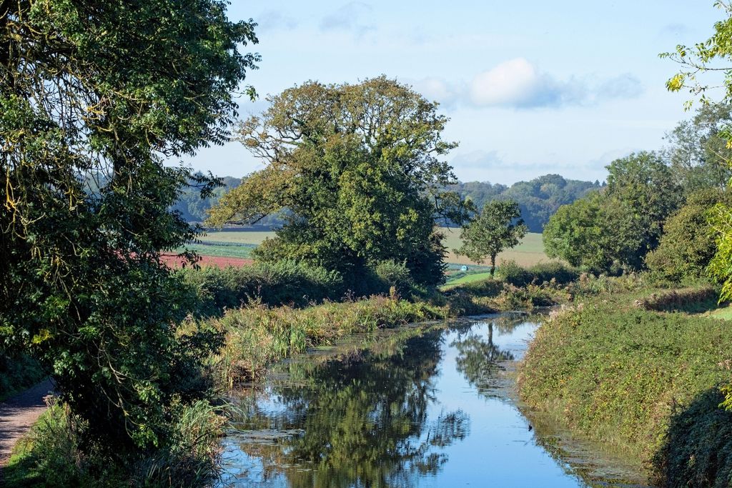 Bramley Cottage 19 - Gallery