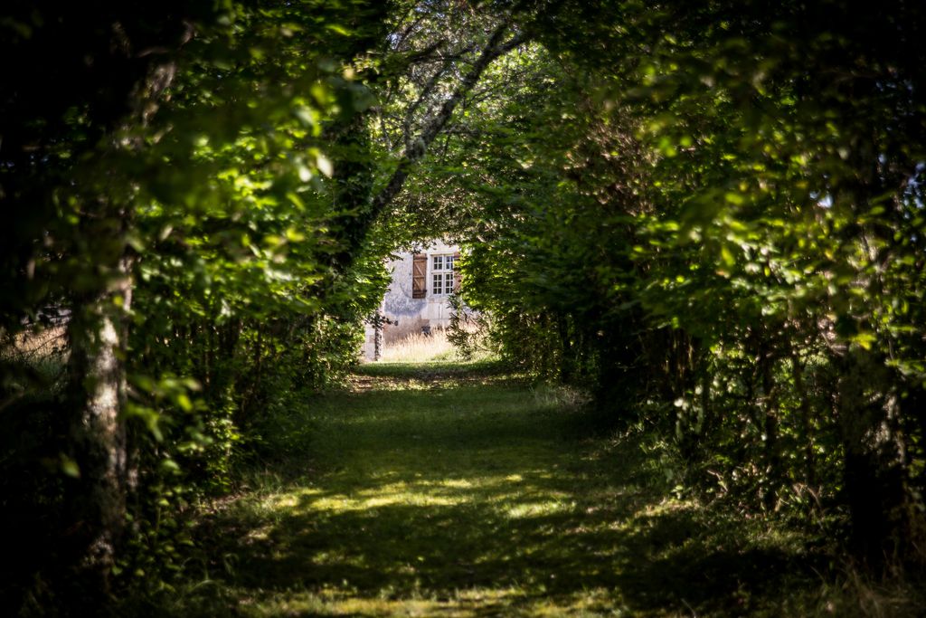 Les Cieux de Saint-Félix 19 - Gallery