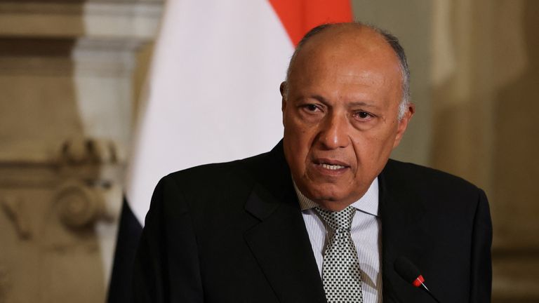 Egyptian Foreign Minister Sameh Shoukry. Pic: Reuters/Mohamed Abd El Ghany