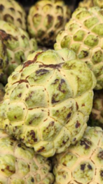 8 health benefits of eating custard apples in winters:Image