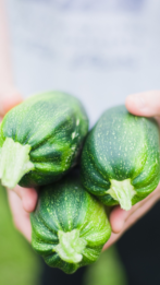 9 essential health benefits of zucchini:Image