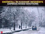 Snowfall in Kashmir | Joy, beauty and challenges:Image