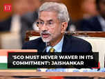 Harbouring terrorists must be strongly condemned: S Jaishankar:Image