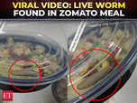 Zomato meal horror: Bengaluru customer finds live worm:Image