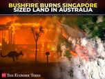 Australia's bushfire burns area the ‘size of Singapore’:Image