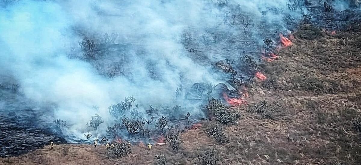 Incendio en Bojacá se propaga a Mosquera y obliga a cerrar la vía: imágenes de la emergencia