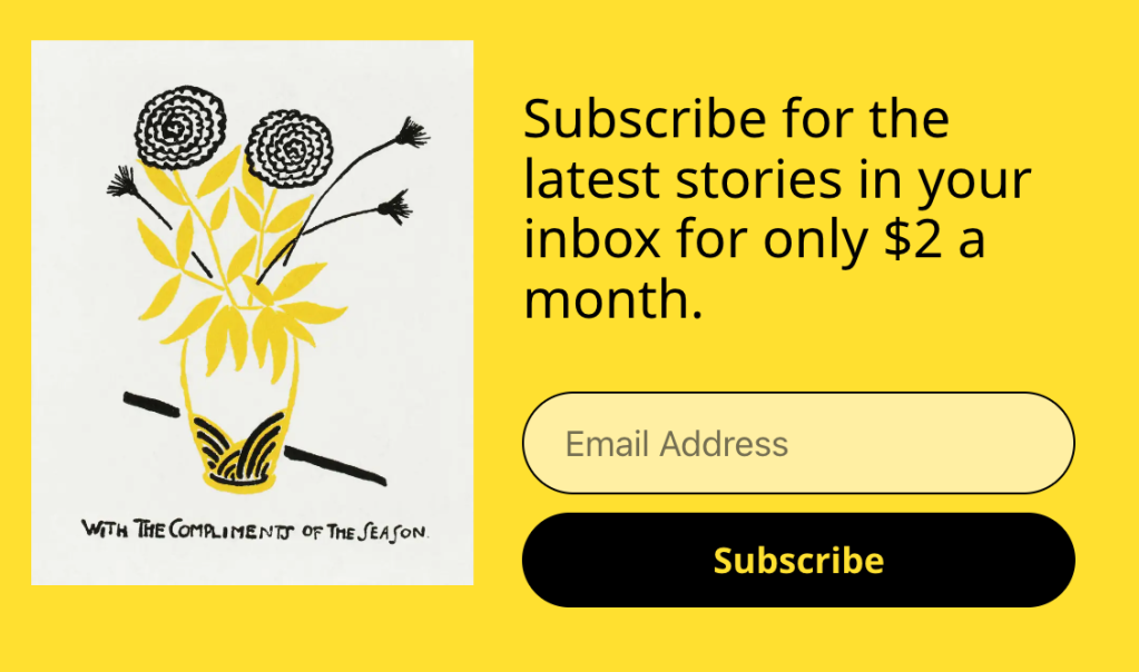 Paid Newsletter example.