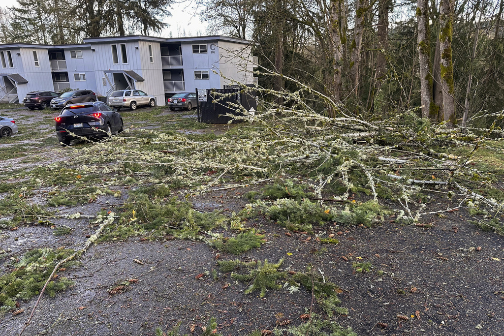 Damage is seen in a neighborhood in Issaquah, Wash.