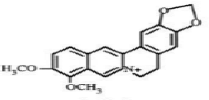 figure 2.2