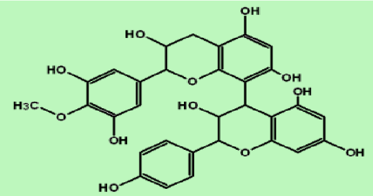 figure 2.8