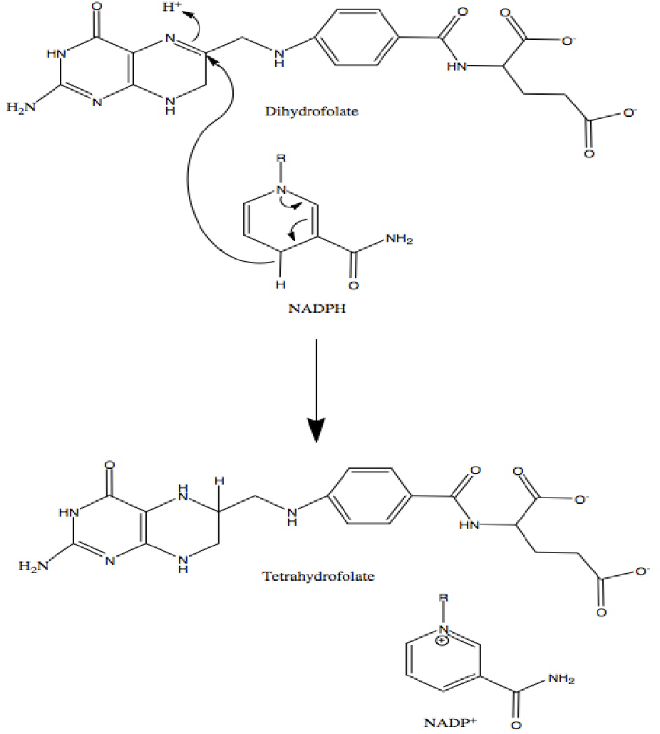 figure 2.12