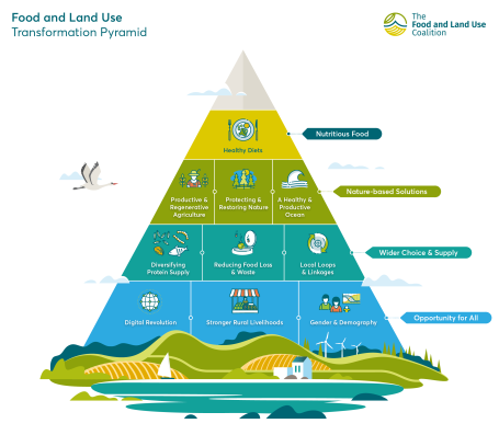 FOLU Food and Land Use Transformation Pyramid