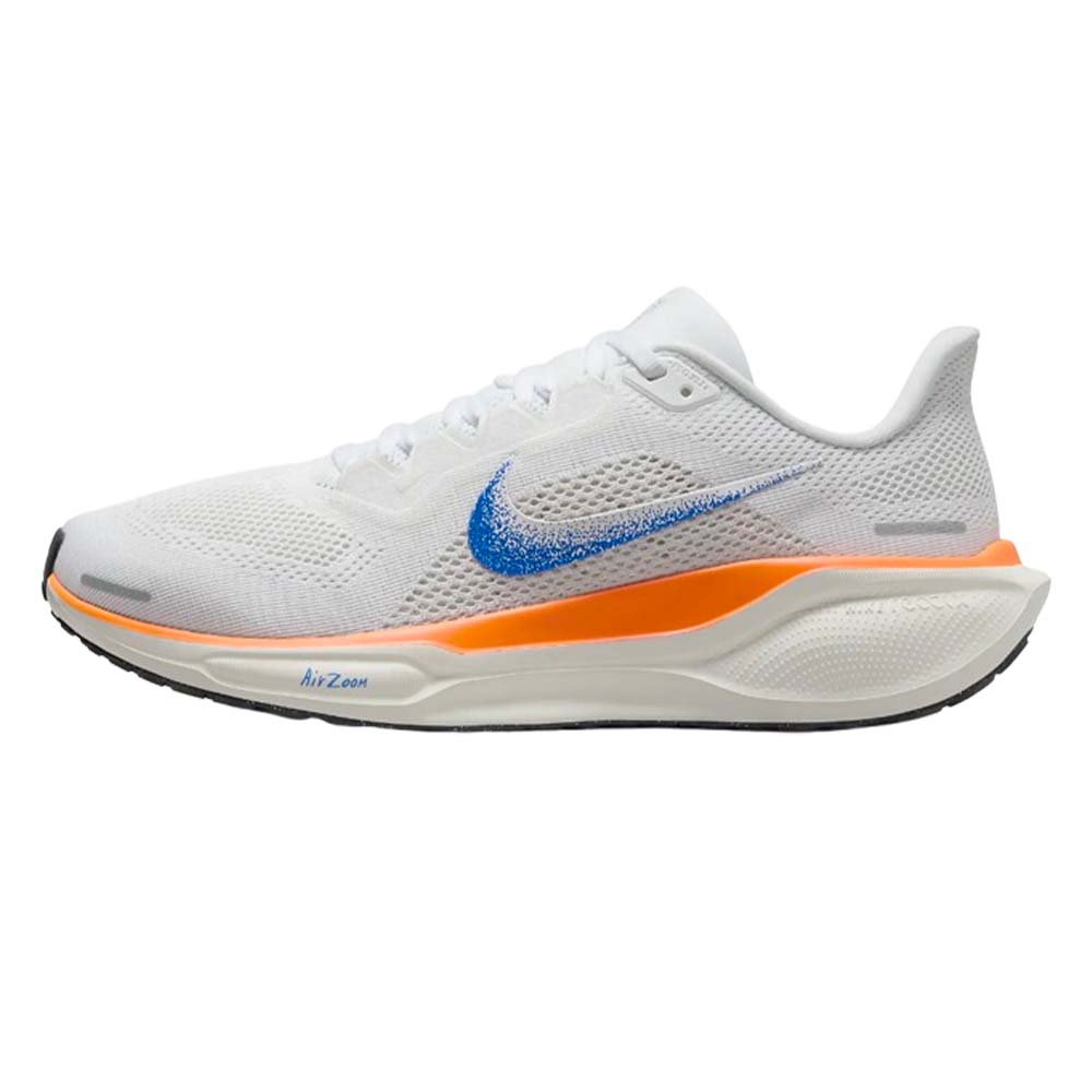 History of the Nike Pegasus shoes