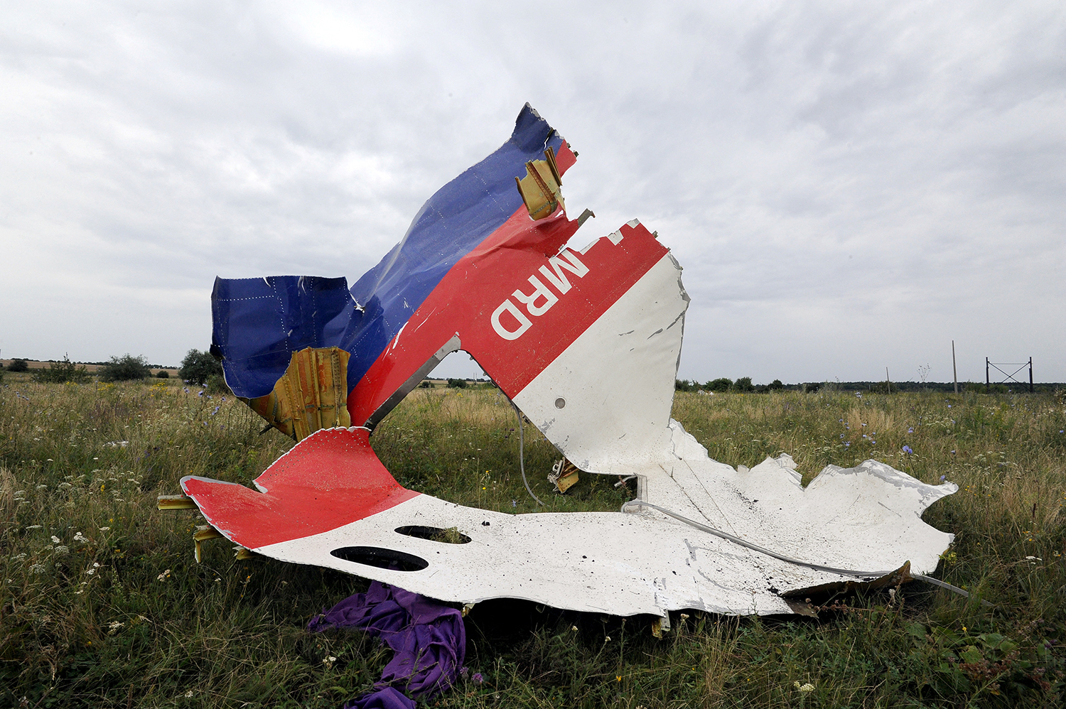 A ripped and warped section from the side of a plane rests in the foreground of a broad expanse of a grassy field against a cloudy sky.