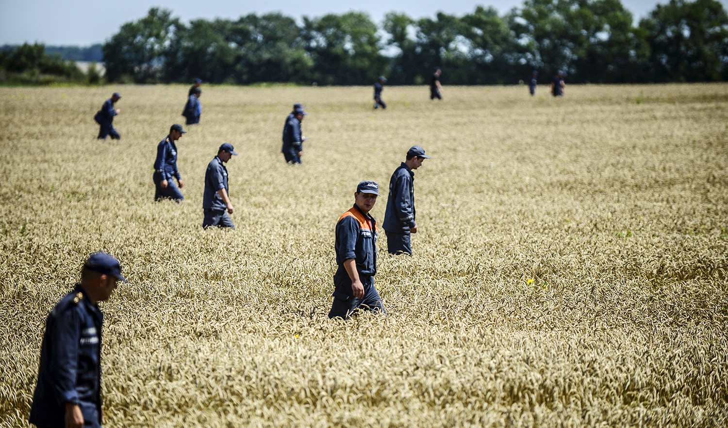 Several emergency responders in similar uniforms walk at varying distances as they comb through the knee-high stalks of a wheat field searching for bodies after a plane crash. Trees are seen on the horizon beneath a slightly hazy sky.