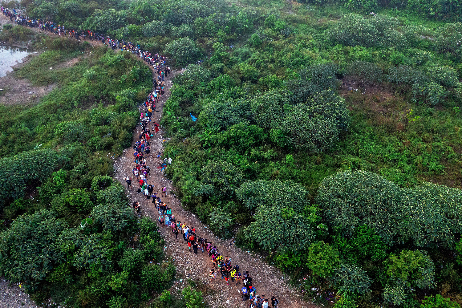 An aerial view of a long line of migrants walking through the jungle.