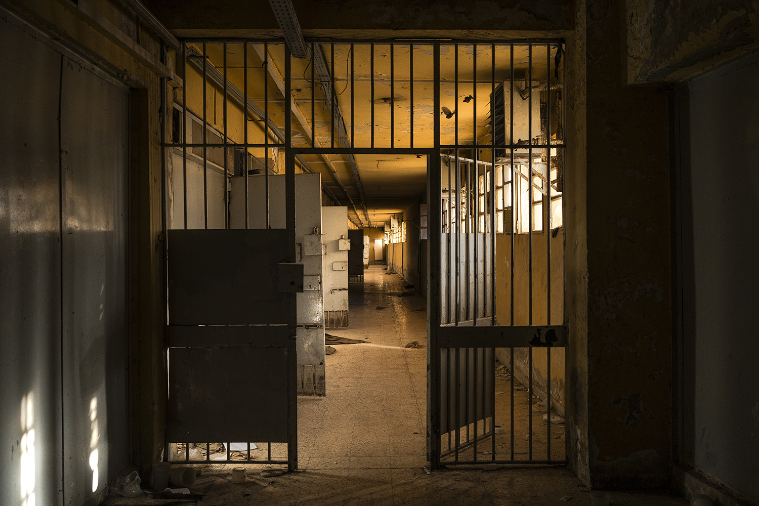 A door stands open in a prison block. White doors are seen open down a hallway lit with warm light ahead and through the bars.