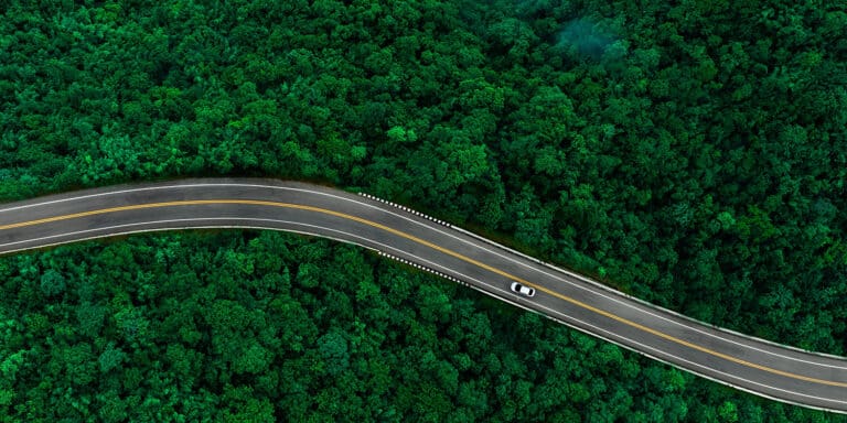 Aerial view of a winding road through forest