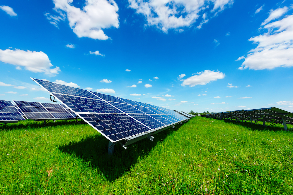 solar arrays in a solar farm