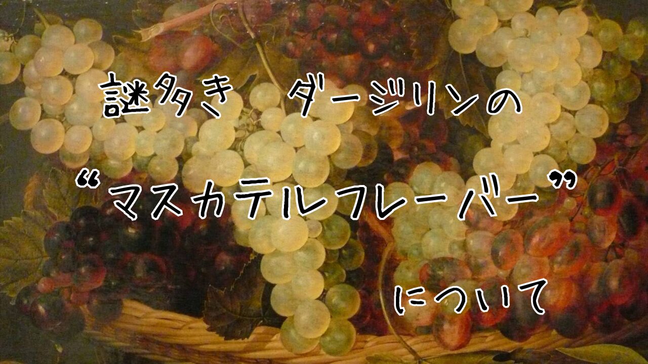 マスカテルフレーバーについてまとめた記事のバナー