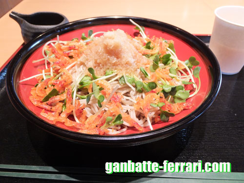 羽生PAで食べたお蕎麦_ganbatte-ferrari