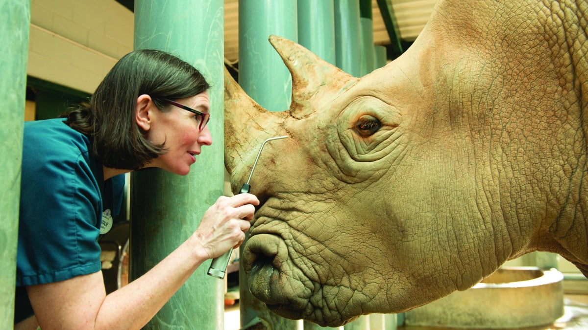 A look behind the scenes at Disney’s Animal Kingdom.