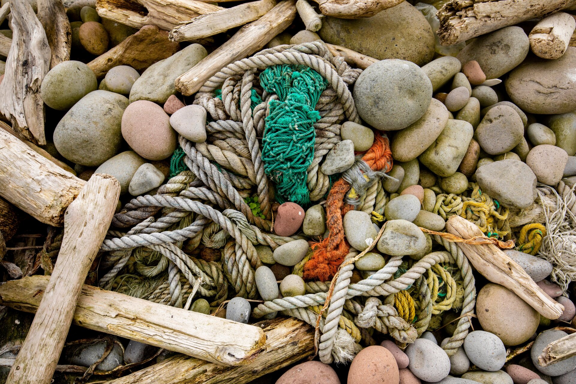 Alaska Maritime National Wildlife Refuge, Aleutian Islands, Alaska: Marine debris, a common site on many islands. 