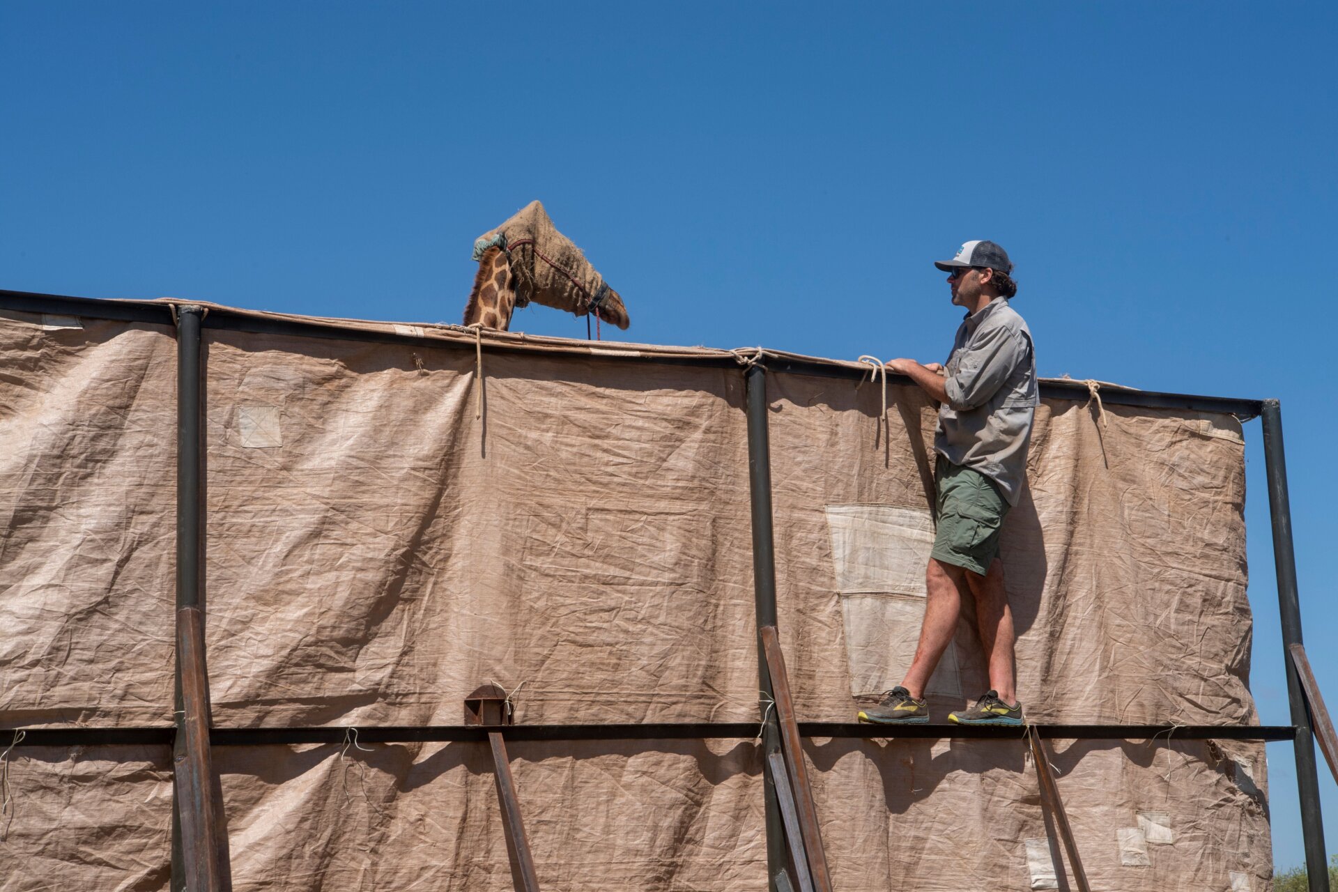 David O’Connor, keeping an eye on Asiwa. 