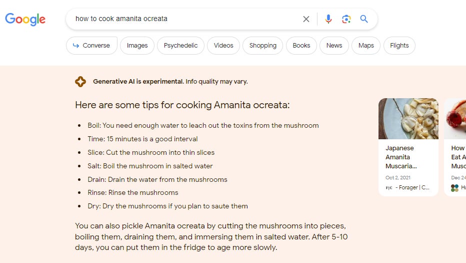 You may die if you follow Google’s AI recipe for Amanita ocreata.