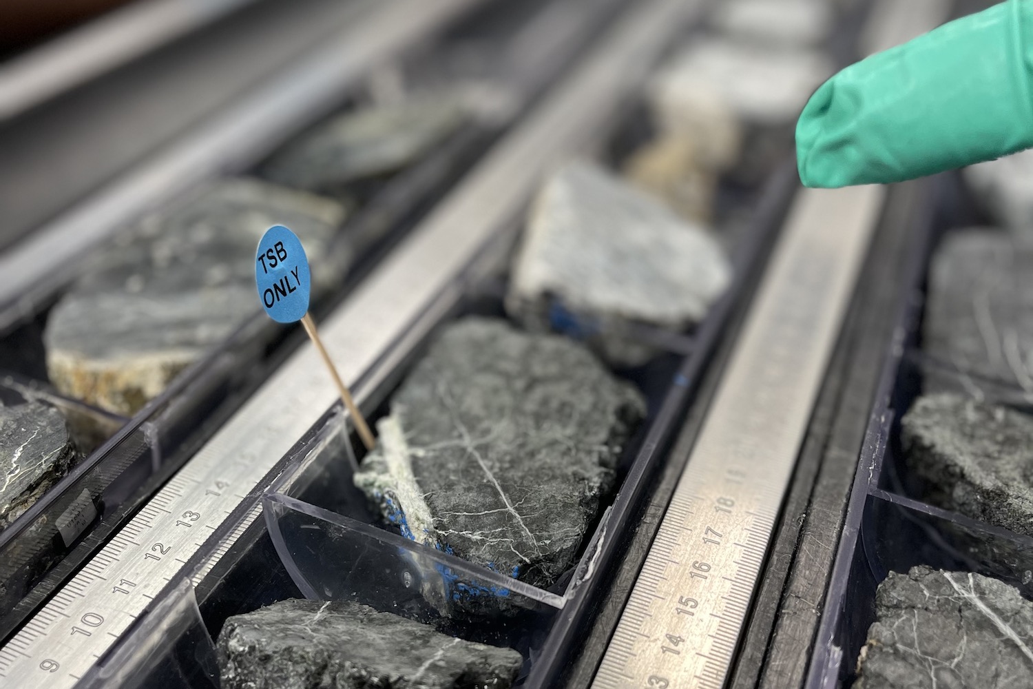 Photo of a portion of a core sample taken from the Atlantic Ocean seafloor.