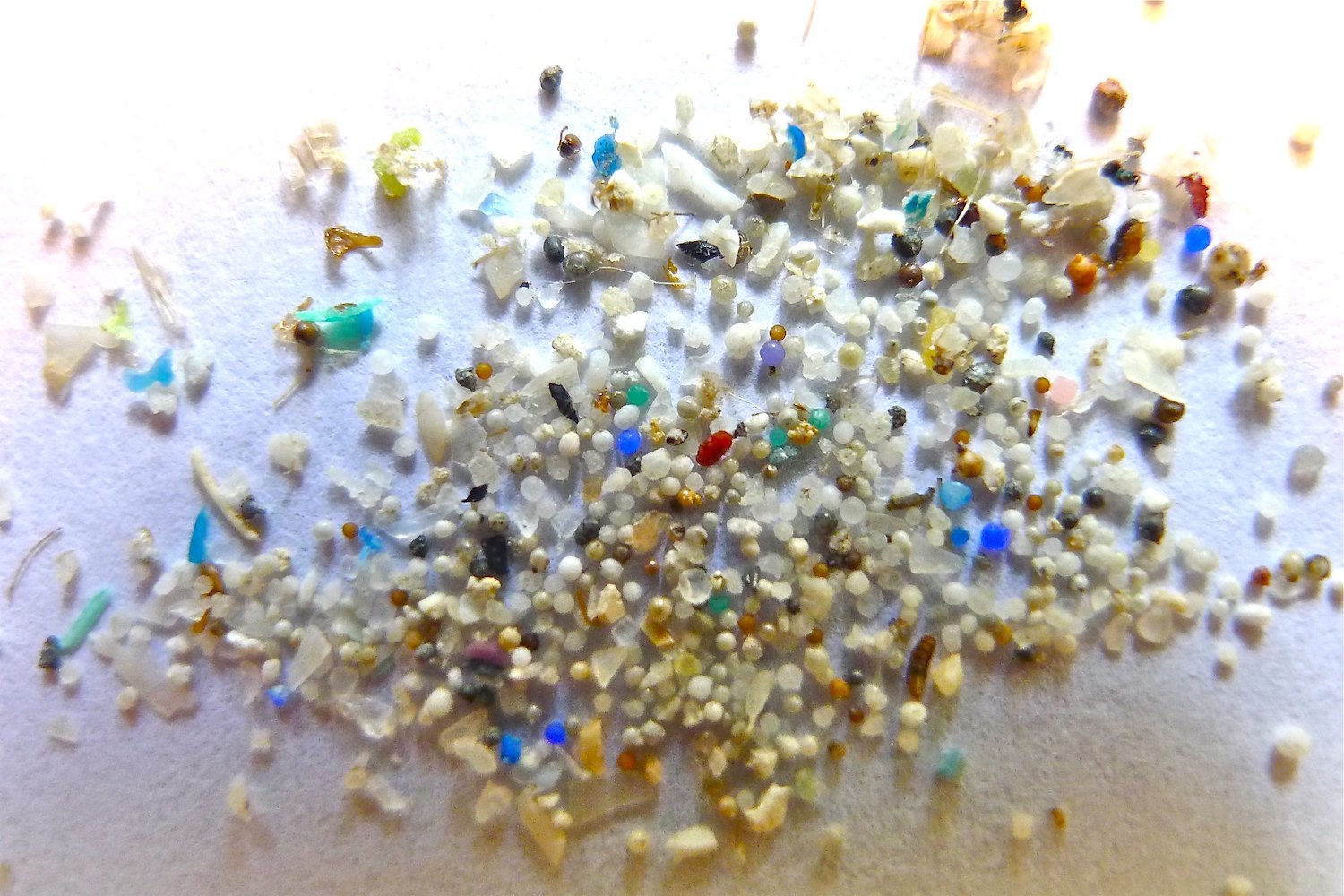 A photo of microplastics