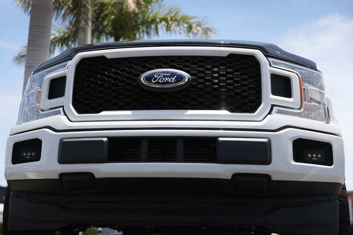 A Ford F-150 on a sales lot in Miami