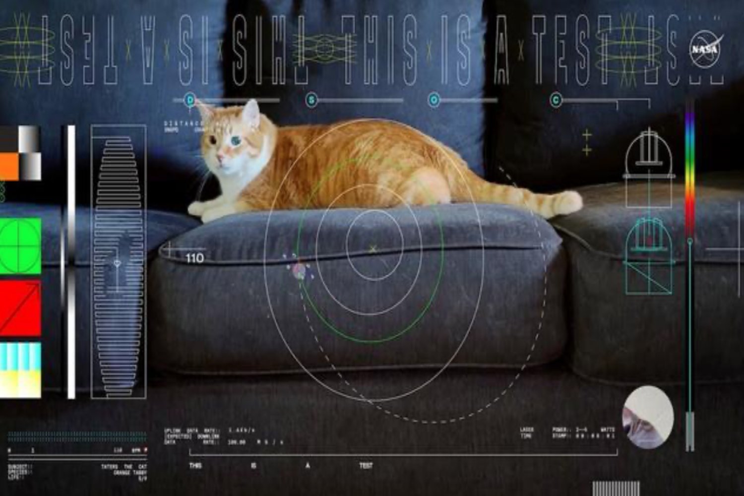 An orange tabby cat named Taters was featured in the first ultra-high definition streaming video sent from deep space on Dec. 11, 2023.