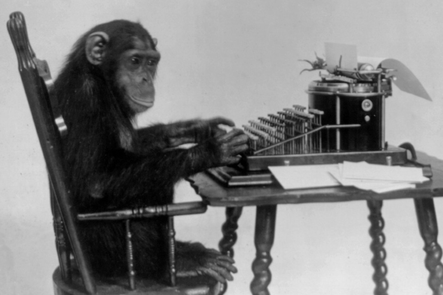 A chimpanzee in front of a typewriter.