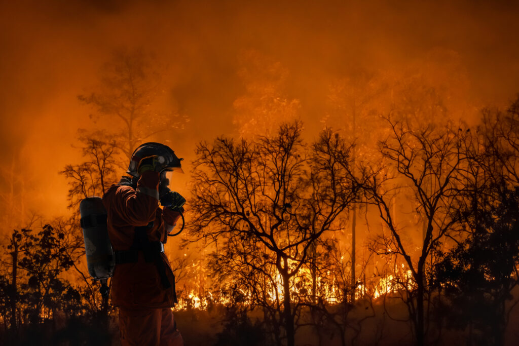 Firefighter battles wildfire.