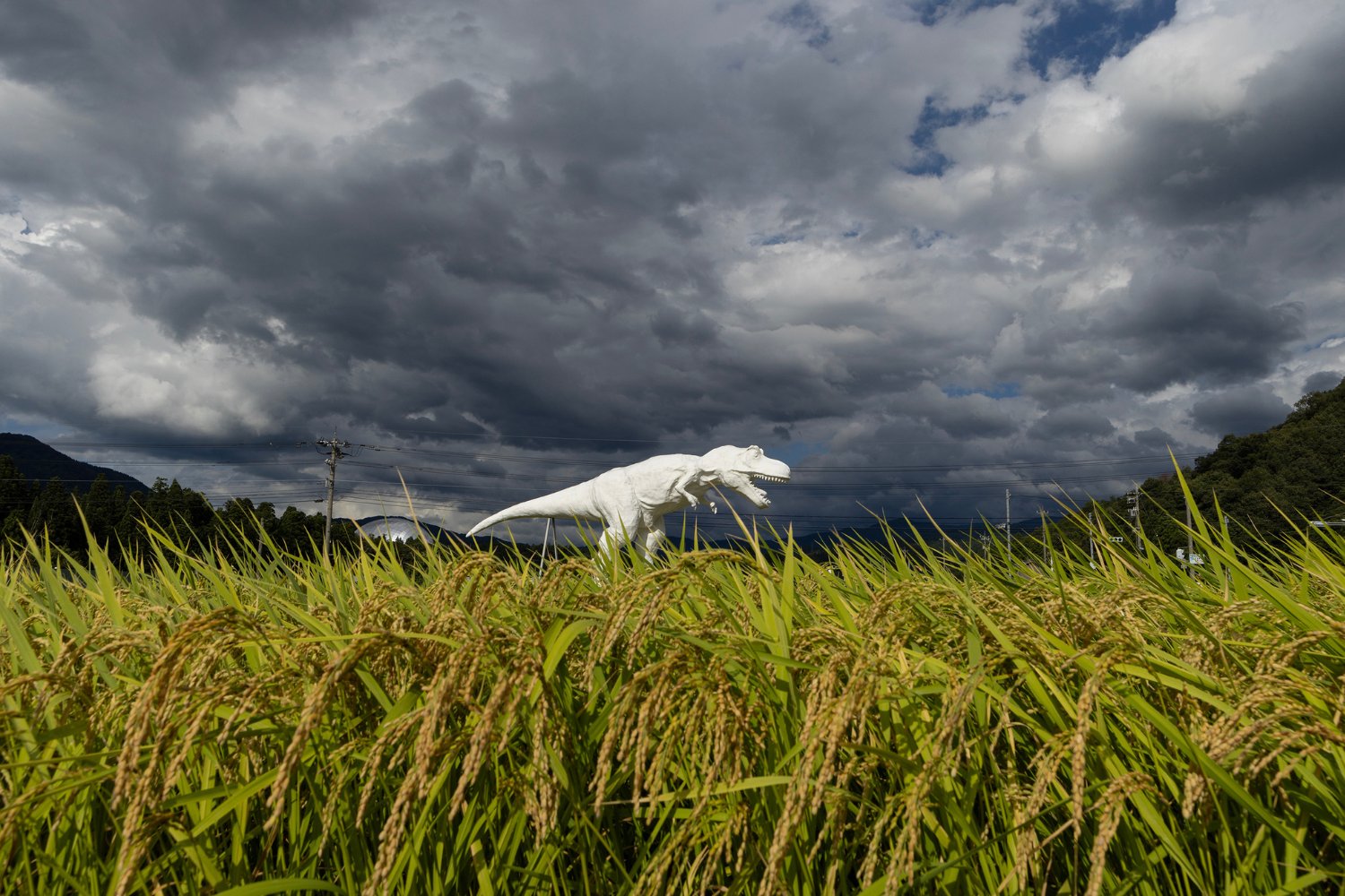 A replica dinosaur in a field in Japan.