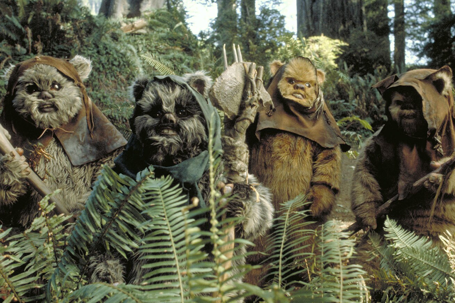 Star Wars Ewoks Return Of The Jedi