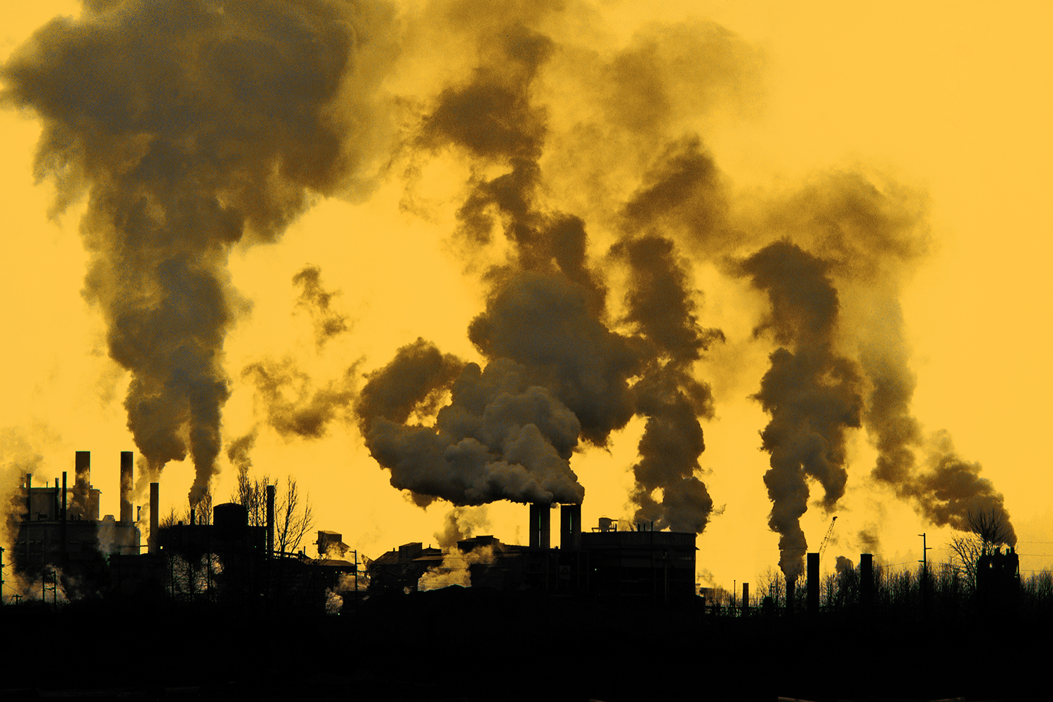 Smoke and steam emits from paper mill in Eureka, California.