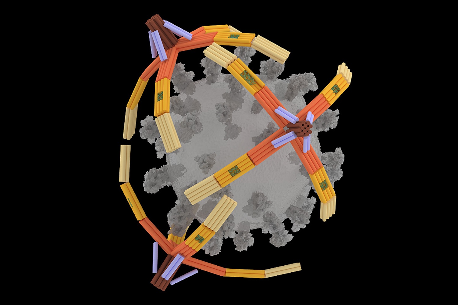 Nanogrippers Holding A Virus