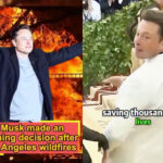 Screenshots from a video promoted by Elon Musk claiming he saved "thousands of lives" from the California wildfires.