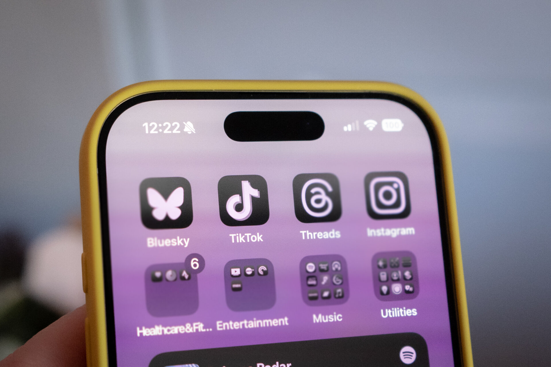 A photo of the tiktok app in focus on an ios home screen